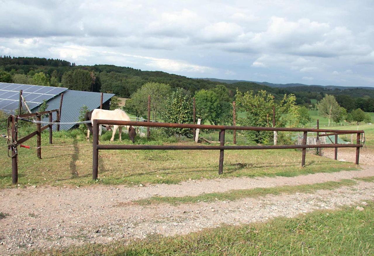 Ferienwohnung Roderath Nettersheim Esterno foto